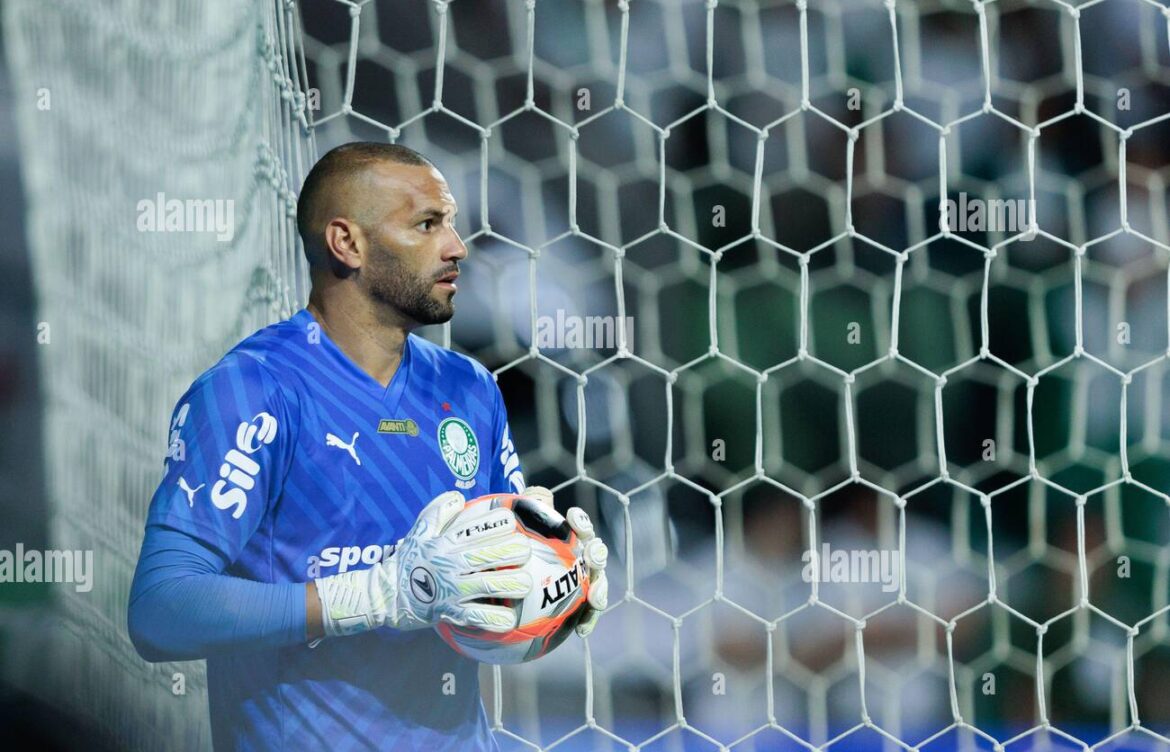 Palmeiras vs Vitória: A Thrilling Encounter in Brazilian Football