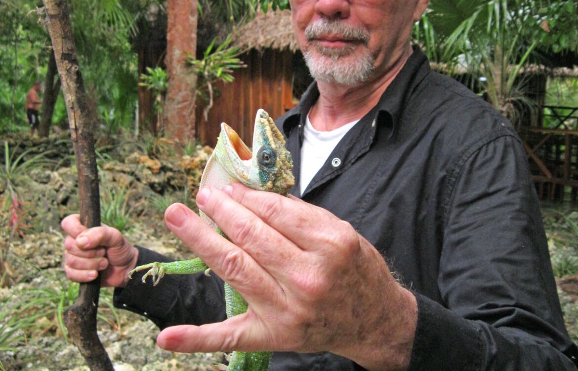 The Impact of Robert Trivers on Evolutionary Biology