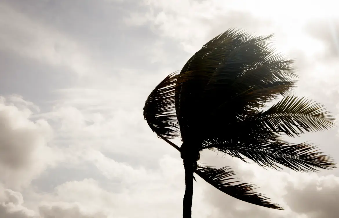 Understanding San Diego Weather: Current Trends and Forecasts