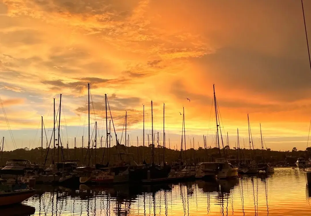 Current Trends and Forecasts in San Diego Weather