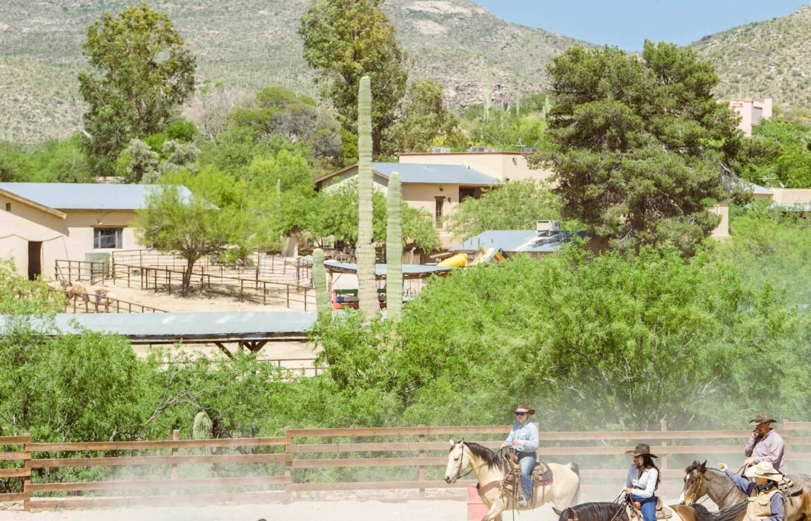 Tucson Arizona: A Hub of Culture and Natural Beauty