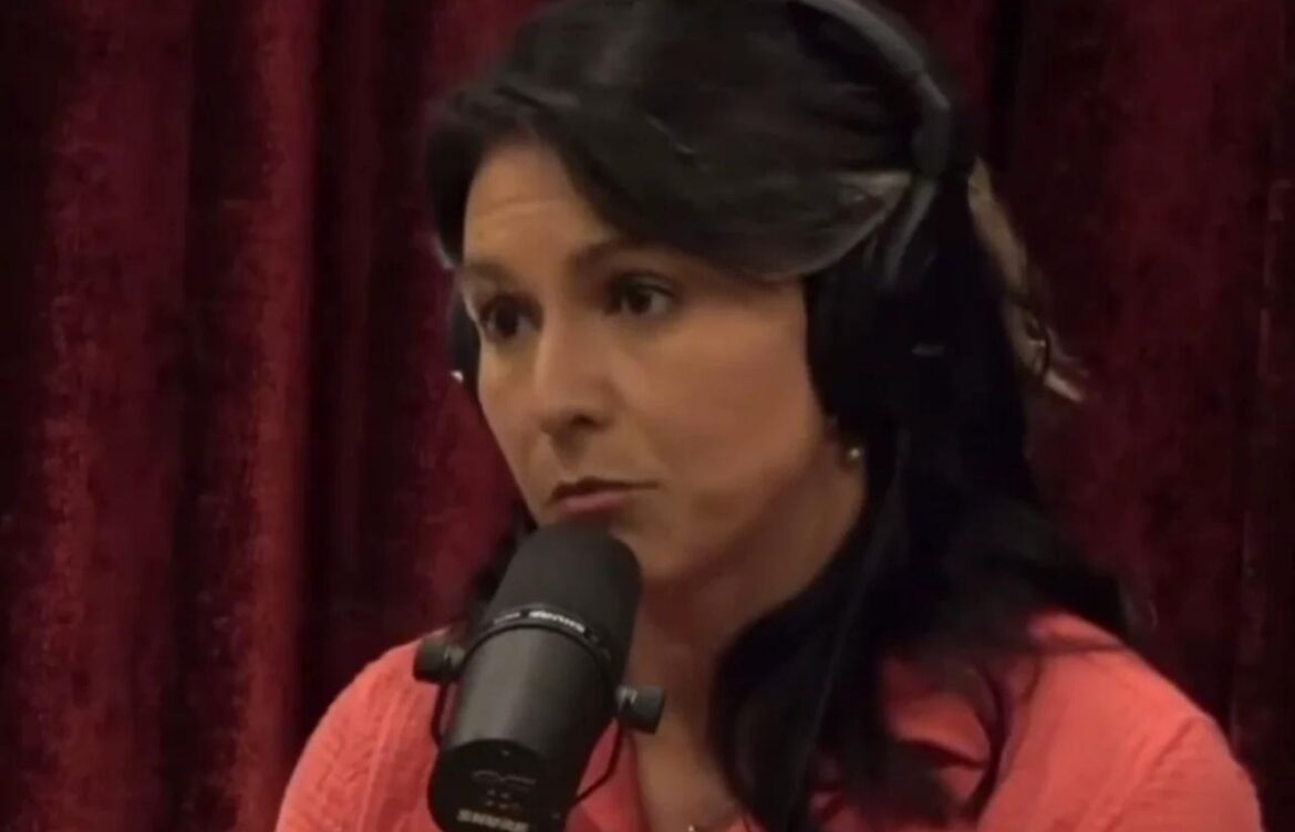 Tulsi Gabbard: A Unique Perspective in American Politics