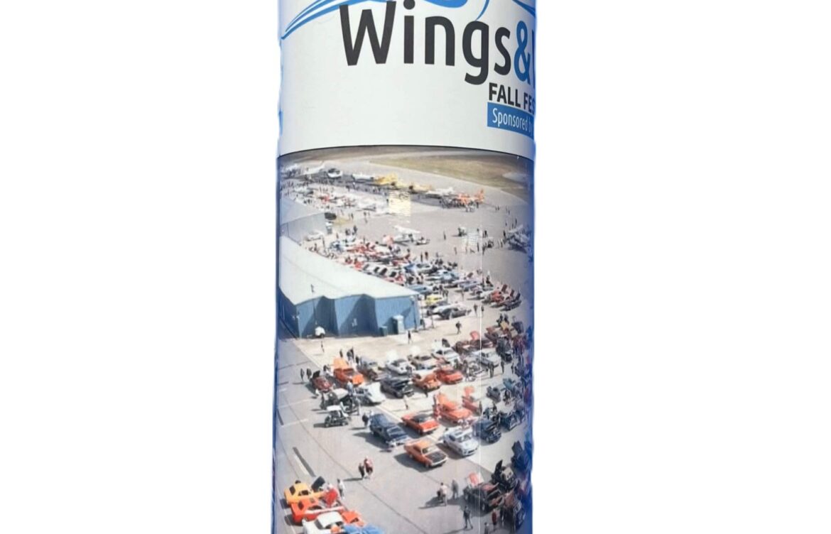 The Fascinating World of Wings: Nature and Technology