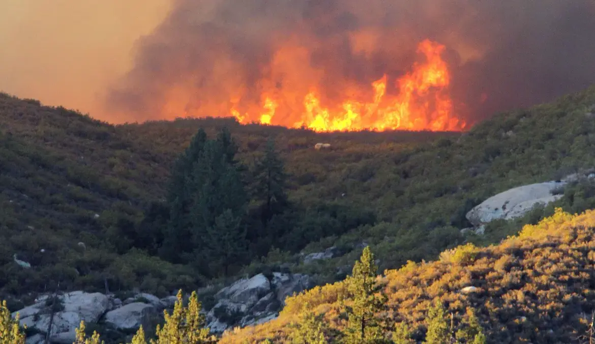 Climate Change: A Growing Concern for Our Community