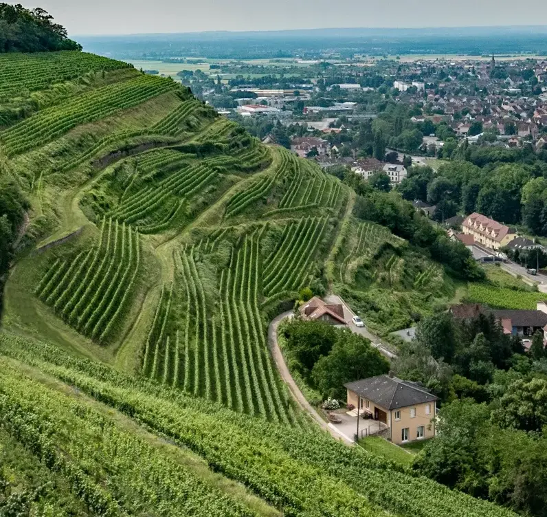 France: G7 Foreign Ministers’ Meeting in