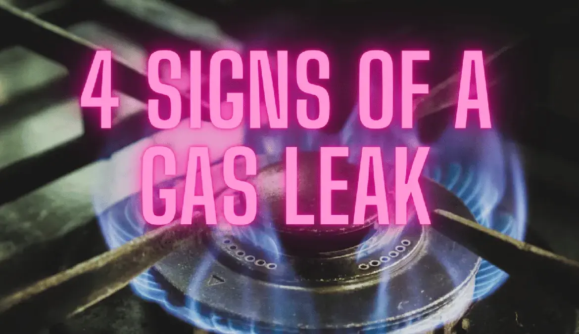 Gas Supply Regulation Order Issued by Indian Government Amid West Asia Conflict