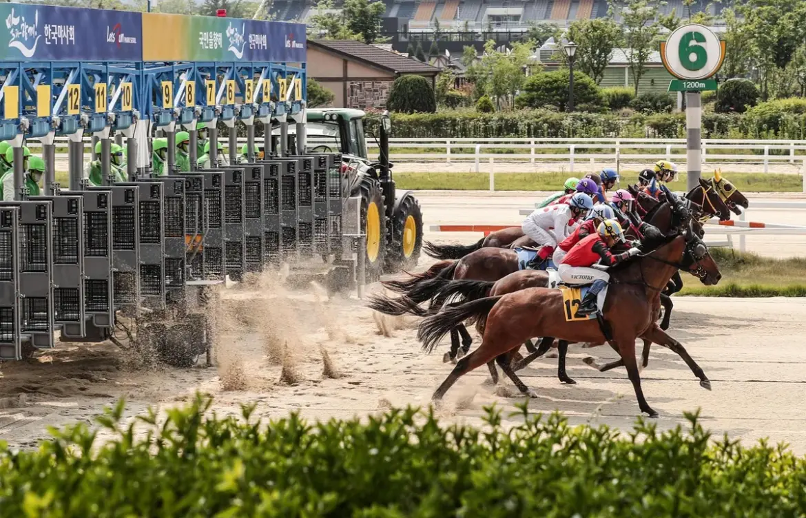 Jeju island: Significant Developments on : Horse Racing and Drug Investigations