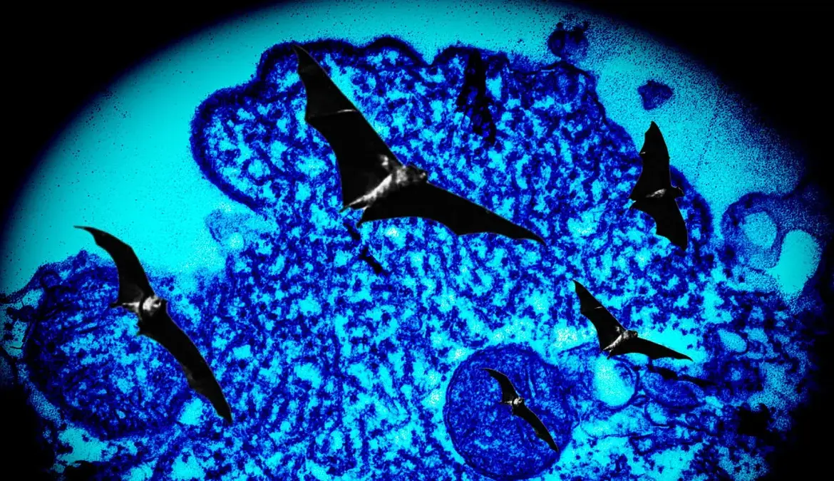 Nipah Virus Outbreak Update in Kerala, India