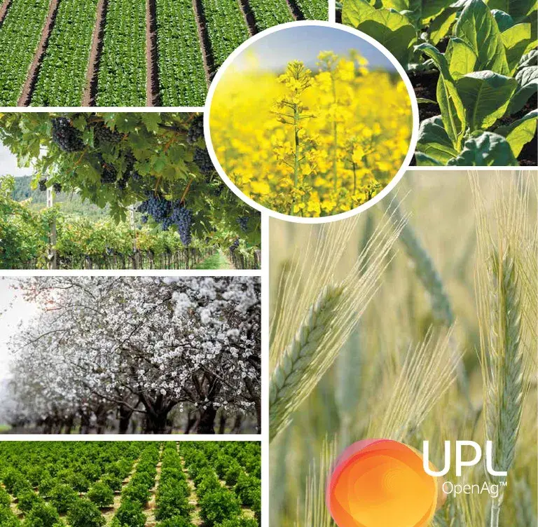 Upl: New Delhi: PM Modi and President Trump Discuss Key Issues in Productive Call