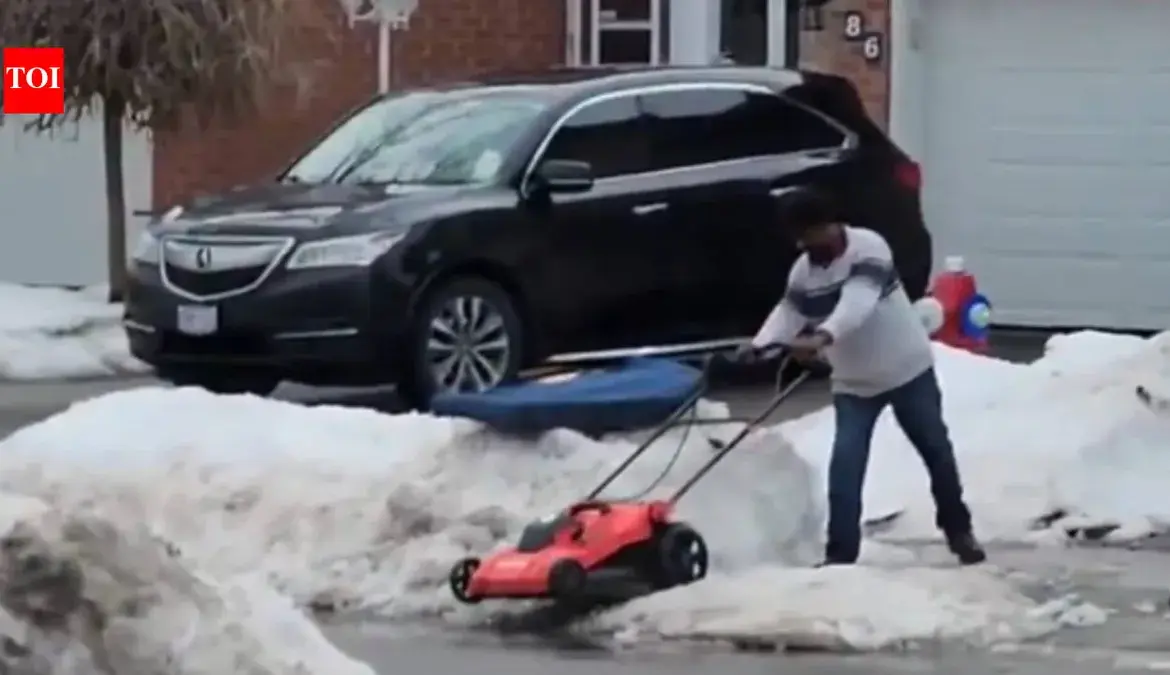 Viral Videos: A Lawn Mower in Winter and Animal Cruelty Incident