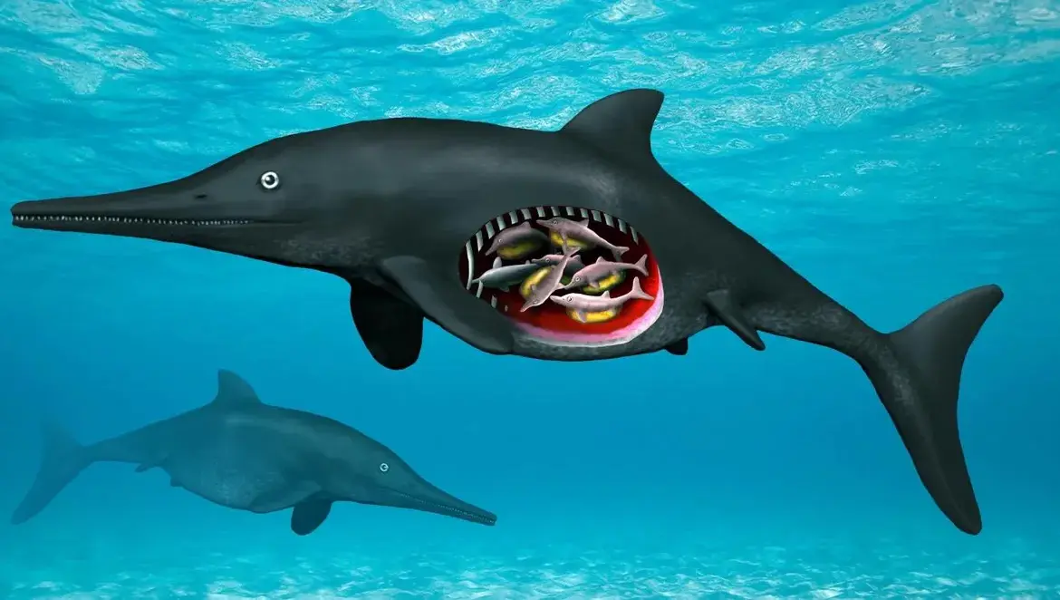 180 million year old ichthyosaur discovered in Mistelgau, Germany
