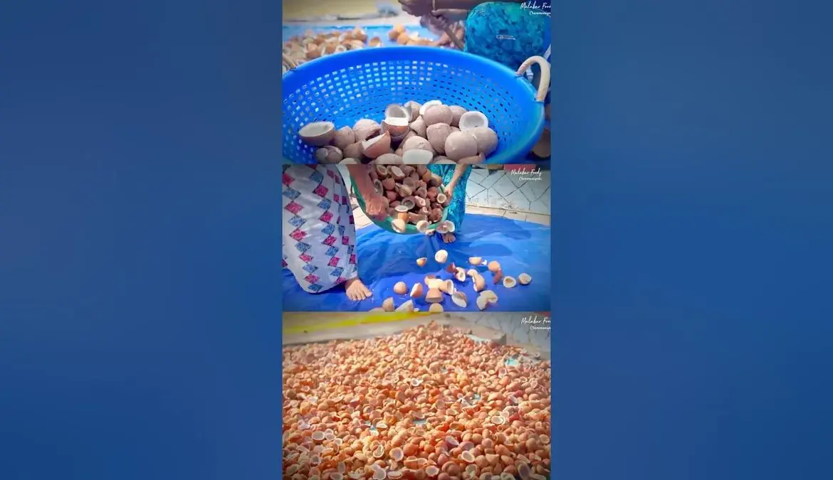 വെളിച്ചെണ്ണ: Coconut Oil Prices Plummet in Kerala
