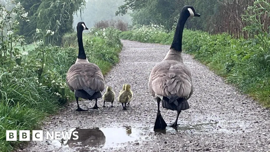 Bank holiday transport delays in Limerick