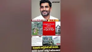 కాగ్నిజెంట్ — IN news